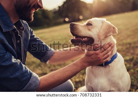 Cropped image of handsome young man with labrador outdoors. Man on a green grass with dog. Cynologist