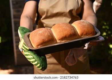 Cropped image of a housewife holding a baking container with hot freshly baked crusty homemade whole grain bread
