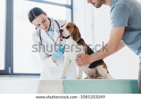 cropped image of man holding beagle while female veterinarian doing injection by syringe 