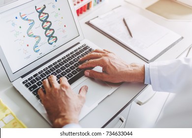 Cropped image of senior experienced scientist is working in laboratory. Doing investigations using laptop