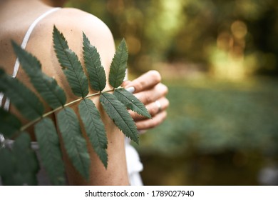 Cropped image of unknown mysterious young woman posing in park, holding green leaf while relaxing outdoors on sunny day. Close up of fern plant in female hand. Botany, nature and flora concept - Powered by Shutterstock