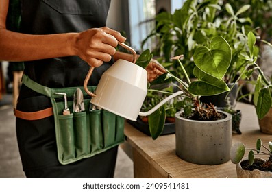 Cropped image of woman with garden tools watering potted houseplant on the table at plants shop, using white metal watering can, taking care. Hobby, indoor gardening, plant lovers.  - Powered by Shutterstock