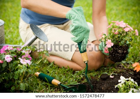 cropped image of woman gardening