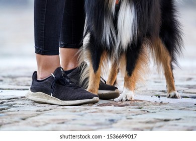 Cropped Image Of Young Girl Walking A Dog. Urban Style Modern Dressed Person In Sneakers, Running Shoes. Legs And Paws Walking Together In City Park As Partners.