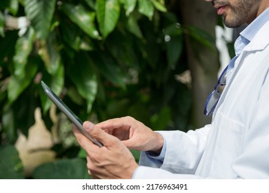 Cropped Photo Of A Male Biologist Using A Digital Tablet In A Greenhouse