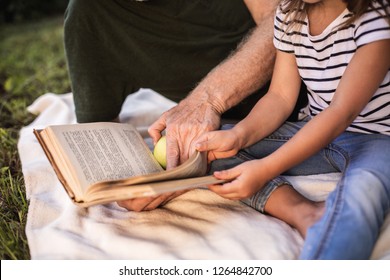 Cropped Photo Of Preteen Child And Mature Man Reading Book On Picnic