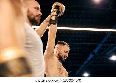 Cropped Photo Of A Referee Holding In The Air The Hand Of A Sparring Winner