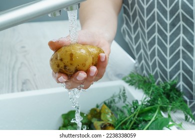 Cropped photo of woman wearing grey apron washing potato with hand under running water in sink full of greenery in kitchen. Vegetables, vegetarian, preparation for cooking, healthy food, hygiene. - Powered by Shutterstock