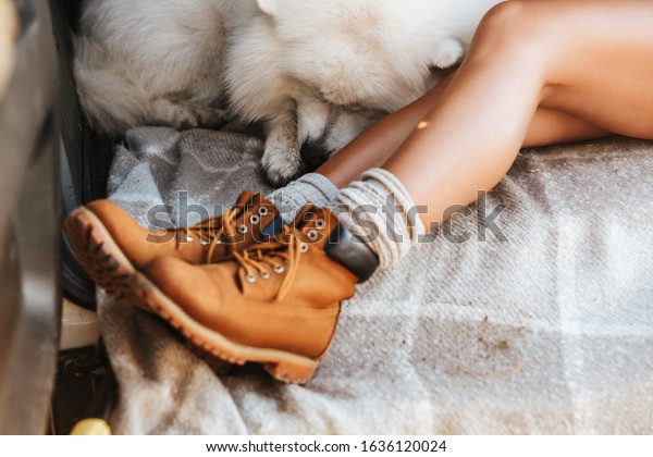 Cropped photo of young woman with dog samoyed\
outdoors at the beach in\
car.