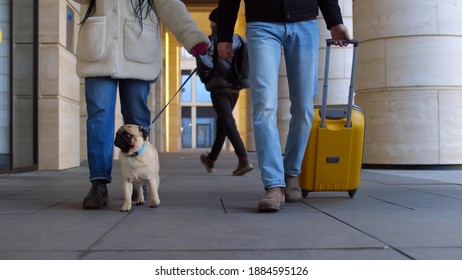 Cropped Shot Of Diverse Couple Walking Outside Airport Building With Suitcase And Pug Dog On Leash. Young Multiethnic Man And Woman Traveling With Pet Dog