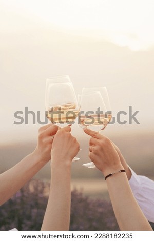 Cropped shot of female friends toasting with glasses of white wine during outdoor party in summer evening in countryside.