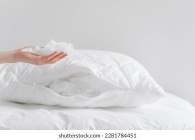 cropped shot of female hand holding and showing fluffy fiberfill from pillow on white background with copy space, hypoallergenic stuffing, comfort sleeping concept