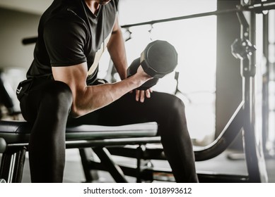 cropped shot of fitness man doing concentration curls excercise working out with dumbbell in gym. Weight training concept.
