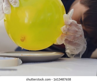 Cropped Shot Kid Holding Balloon Above Plate Of Dry Gelatin Crystals, School Kid Doing Science Project, Experiment With Gelatine And Static Charged Balloon, Science Experiment Concept, Home Schooling