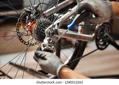 Cropped shot of male mechanic working in bicycle repair shop, mechanic repairing bike using special tool, wearing protective gloves