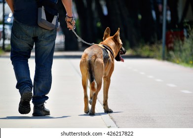 Cropped Shot Of A Man Walking With His German Shepherd Dog On The City