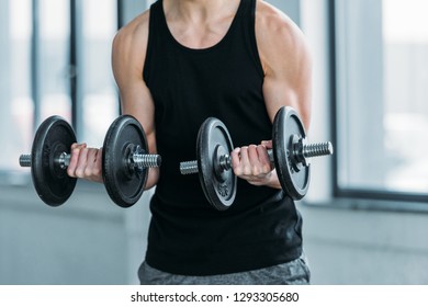 Cropped Shot Muscular Young Man Exercising Stock Photo 1293305680 ...