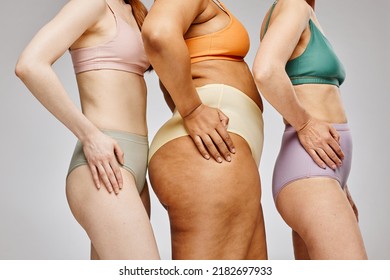 Cropped Shot Of Real Women Wearing Underwear Against Grey, Focus On Hips With Skin Texture