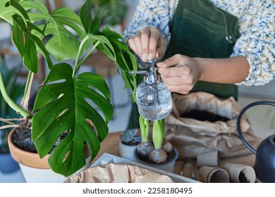 Cropped shot of unrecognizable faceless woman tends houseplant growth wates green flower in pot takes care of plant holds spray bottle with pure water. Greenery at home. Love for plants. Rear view - Powered by Shutterstock