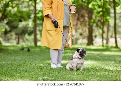 Cropped shot of unrecognizable woman walking cute pug dog on leash in green park, copy space