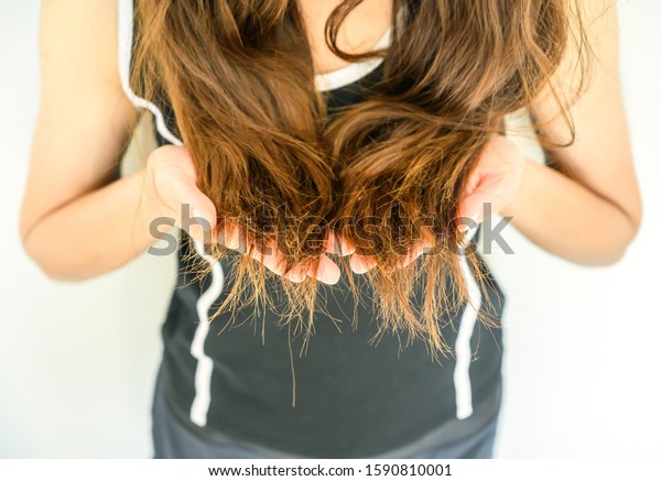 Cropped shot view of woman holding her damaged\
split ended hair (Focus at ends hair). Hair damage is risk for\
further damage and breakage. It may also look dull or frizzy and be\
difficult to manage.