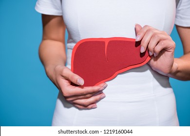 cropped shot of woman holding paper crafted liver in hands on blue background