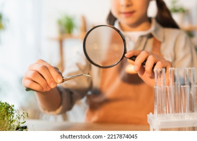 Cropped View Of Blurred Kid Holding Plant Seed In Tweezers And Magnifying Glass At Home