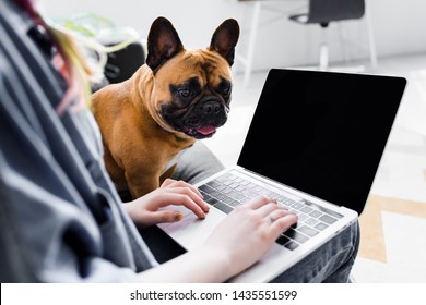 cropped view of cute bulldog sitting near girl using laptop 