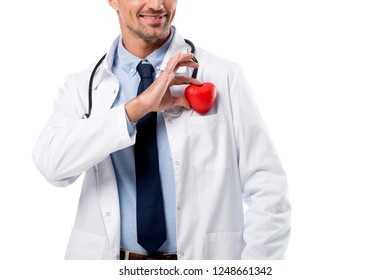 cropped view of doctor holding heart model in hand isolated on white, heart healthcare concept
