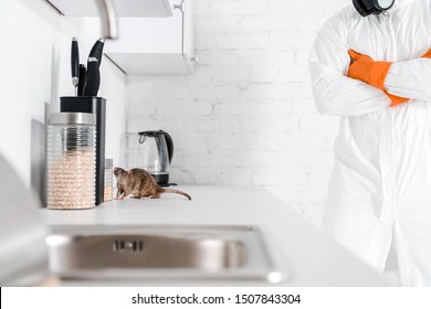 Cropped View Of Exterminator Standing With Crossed Arms Near Rat On Table 