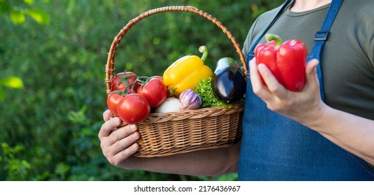 Cropped View Of Horticulturist Hold Basket Full Of Vegetables