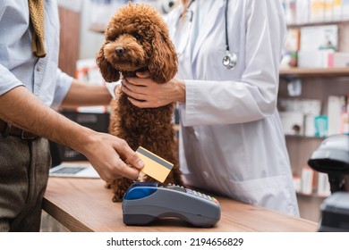 Cropped view of man paying with credit card near poodle and veterinarian in pet shop  - Powered by Shutterstock