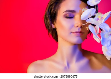 Cropped view portrait of nice dreamy glamorous girl smelling orchid spring aroma isolated over bright red multicolor color background