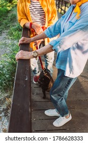 Cropped View Of Senior Couple With Pug Dog On Lash Standing On Bridge In Park