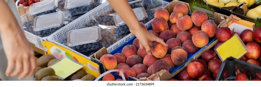 Cropped View Of Woman Choosing Ripe Peaches On Food Market In Venice, Banner