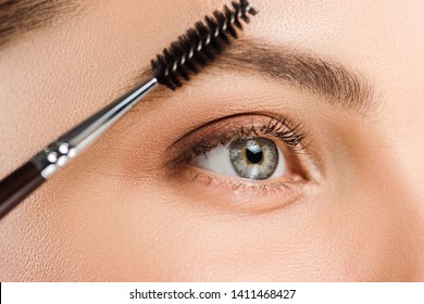 Cropped View Of Woman Holding Eyebrow Brush Near Eyebrow 