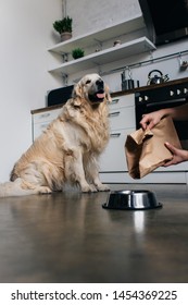 Cropped View Of Woman Pouring Pet Food In Bowl To Golden Retriever Dog 