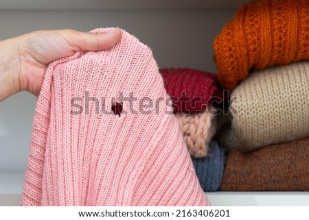 Cropped woman hand holding woolen knitted cloth with hole eaten by moth over wardrobe with stacks cloth on shelf