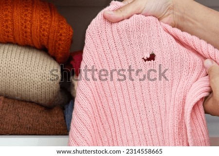 Cropped woman hands holding woolen knitted cloth with hole eaten by moth over wardrobe with stacks cloth on shelf