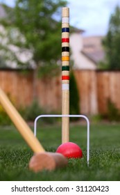 Croquet In The Back Yard With Red Ball