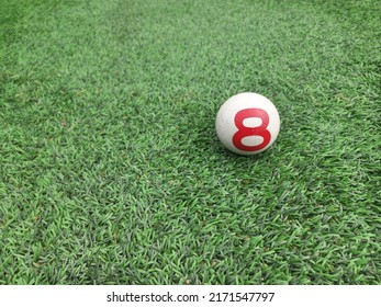 Croquet Ball On The Grass