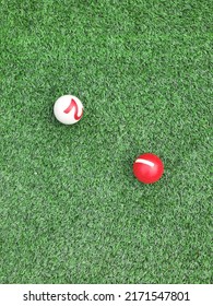 Croquet Ball On The Grass