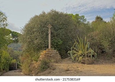 Cross And Agave Plant Along A Path In Serra De Collserola Mountains, Spain