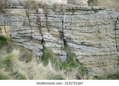 Cross Bedding And Other Sedimentary Structures In A Jurassic Quartz Sandstone Show Us That The Deposits Were Made In A Shallow, Erosive Marine Environment