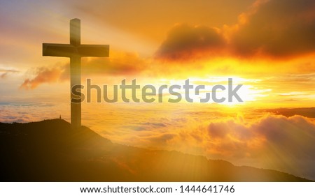 Cross with the Bible, Jesus Christ, abstract concept