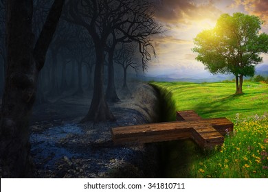 A cross bridges the gap between a dead forest and a beautiful meadow.