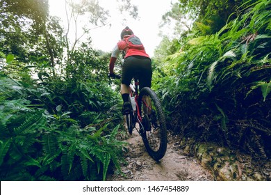 Cross Country Biking Woman Cyclist Riding Mountain Bike On Tropical Rainforest Trail