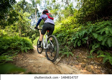 Cross Country Biking Woman Cyclist Riding Mountain Bike On Tropical Rainforest Trail