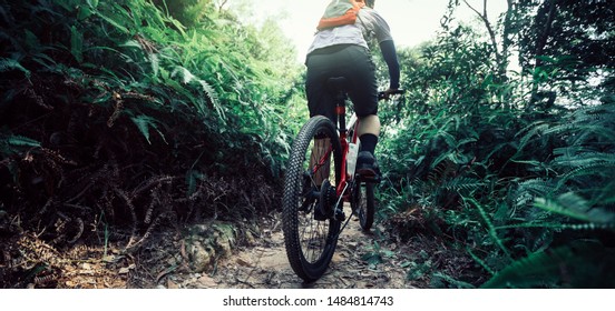 Cross Country Biking Woman Cyclist Riding Mountain Bike On Tropical Rainforest Trail