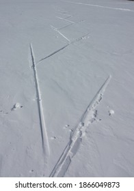 Cross Country Ski Print On Snow Higgins Lake Michigan USA